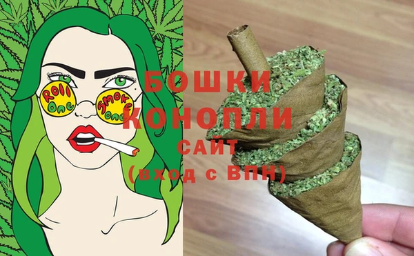 бошки Верея